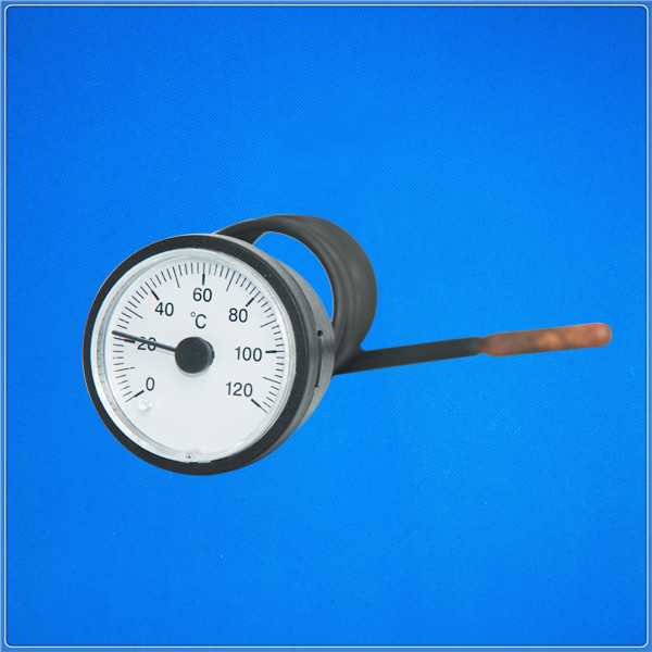 DN40mm thermometer